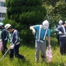 ㈜카길애그리퓨리나 이미지