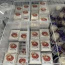 푸치하우스 | 후쿠오카 공항 면세점 털기! | 품절대란 핫한템부터 추천템까지 총정리