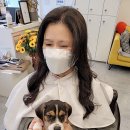 전현정미장원