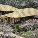 산촌집 - 노원구 중계로6가길 19 | 산촌집