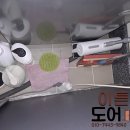 유림노르웨이숲세탁 이미지