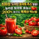 라이코펜헬스케어 | 최화정 '도이캄 토마토 주스' 열풍! 🍅 놀라운 토마토 효능과 200% 흡수하는 똑똑한 먹는법