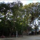 양지유치원 이미지