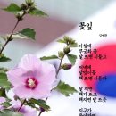 충남 보령시 '보령무궁화수목원' 이미지