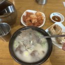 한촌설렁탕망원역점 | [망원역 / 서교동 맛집] 한촌설렁탕 망원역점 방문후기