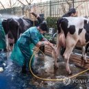 일이축산 이미지