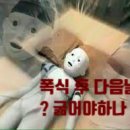 수원-정자-정자-8 이미지