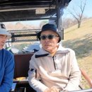 제주밥상 이미지