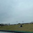 라즈베리힐 이미지