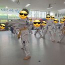 효자 태권도체육관 이미지