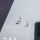 성북자동차유리