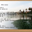 백향 이미지
