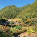 산골초가집