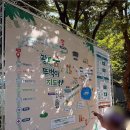 장미꽃길 1 | 광릉숲축제 남양주 아이랑 가볼만한 광릉수목원 근처 가을 지역 축제 행사 후기