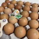 전북계란영농조합 이미지