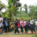 두산초등학교 이미지