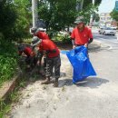정화양곡