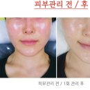 뉴진경기