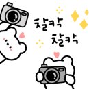 카트렌드 이미지
