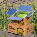 ㈜한타제주판매 이미지