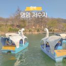 명암 | 청주 데이트 코스 청주동물원 옆 명암저수지 오리배 후기