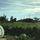 정이네뜰 이미지