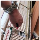 금명여자고등학교 이미지