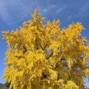 신당마을회관 이미지