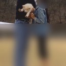 성지농장 이미지