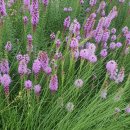 형제정비 이미지