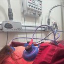 더힘한의원 | 돌발성난청,이명,이석증 새로운 치료 후기_ 청담동 한의원 침도요법