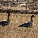 마정2리 이미지