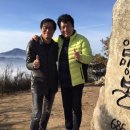 진성코리아 이미지