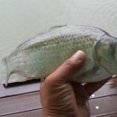 동화낚시터