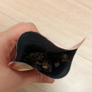 양평군 | [양평 느타리버섯포] 비건 육포? 쫄깃한 식감에 반해버린 건강 간식 '씹어볼래!' 솔직 후기