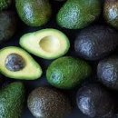 아보카도 이미지