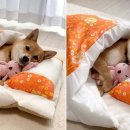 마음 동물병원 이미지