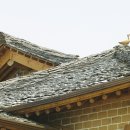 흙과 나무 이미지