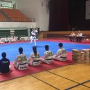 타이거태권도장 이미지