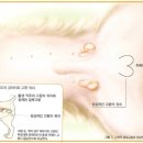 봉 동물병원 이미지