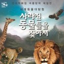 현대동물 파이낸셜뉴스