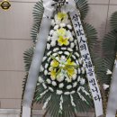 건국플라워 이미지