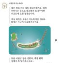 더이루투어 - 안양시 만안구 냉천로 155 | 더이루투어