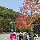 하미양 펜션 이미지