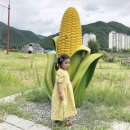 사계절 옷 이미지