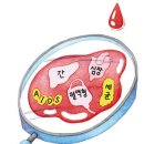 혈액검사로 어디까지 알수있나 ? 이미지