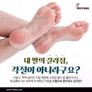 레푸스 여의도점 이미지