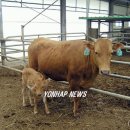 명호축산 이미지