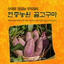 현중농장 네이버블로그