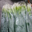 외동농협 하나로마트 이미지